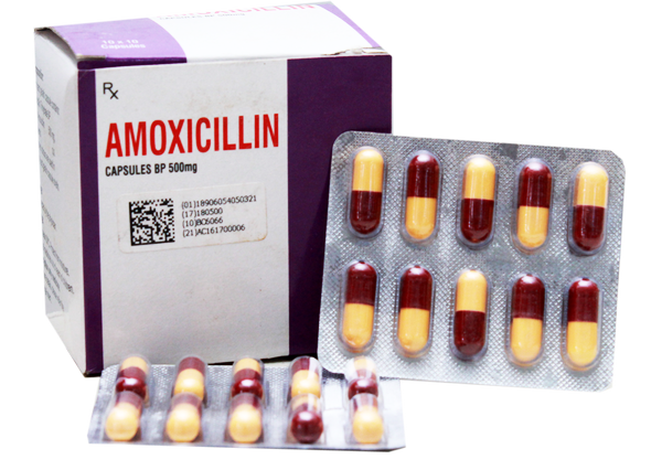 Amoxicillina 500 mg
