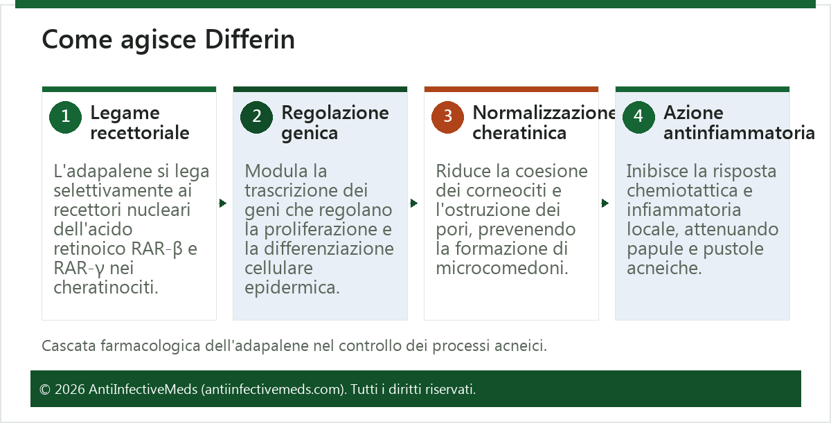 Come agisce Differin