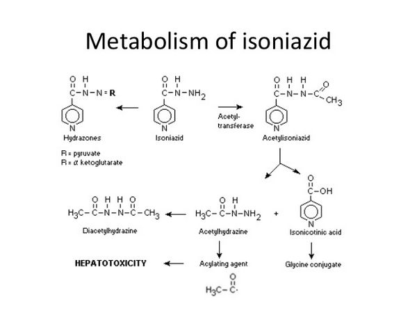 Isoniazide - agente antitubercolare