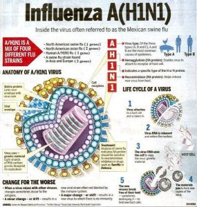 Symmetrel (Amantadina)